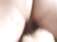 Me and my husky girl making puppies 2 Gaybeast - Beastiality with Man