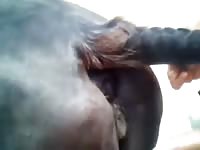 Me and my mare Gaybeast - Man fucks animal