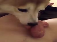 Me and xoo play together Gaybeast - Zoophilia Man