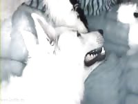 Me fucking molly