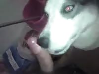Mememe