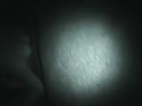 Men and mare Gaybeast.com - Bestiality Porn video with man