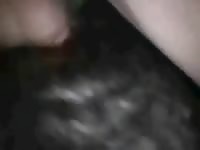 Men fuck dog Gaybeast.com - Zoophilia Sex and Man