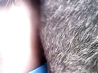 Men fuck donkey with condom Gaybeast.com - Man and animal Sex