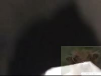 Mens fucks calf Gaybeast - Dude fucks animal