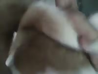 Mi perra caliente Gaybeast - Man and animal Sex