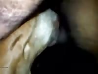 Mi rica perra Gaybeast - Beastiality Man