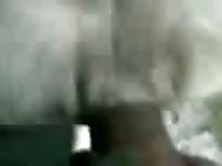 Minha namorada Gaybeast - Beastiality Man