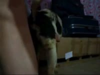 Mix breeding Gaybeast.com - Beastiality with Man (2)
