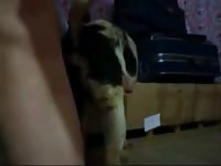 Mix breeding Gaybeast - Beastiality Man