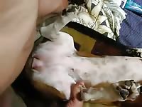 More basse fucking Gaybeast - Dude and animal Sex