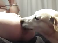 More close up rimming with audio rimcam indoor buttlicking rimcam net