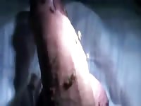 Mosquitos attacking cock Gaybeast.com - Zoophilia Sex and Man