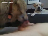 My boys enjoy me doolieaj 120825 121944