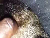 My boys virgin hole Gaybeast - Beastiality with Dude