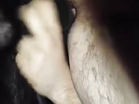My dog lpunds my ass with his knot Gaybeast - Zoophilia Man