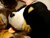 My friend makes a new friend Gaybeast - Bestiality Sex video with man