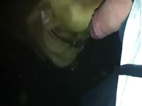 Peanut butter pit Gaybeast - Man and animal Porn