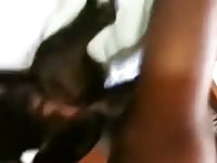 Perra5 Gaybeast - Man and animal Sex