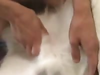 Perro pija con pija Gaybeast.com - Beastiality Man