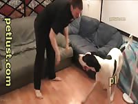 Petlust first danger