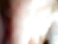 Pig fucks men 1 Gaybeast.com - Zoophilia Man