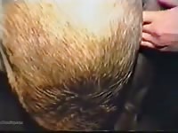 Pink pussy 1 Gaybeast.com - Man and animal Porn