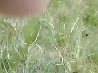 Piss and cum in dogs mouth Gaybeast.com - Beastiality with Dude