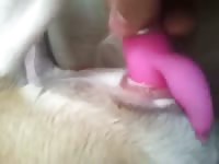 Pit vibrations Gaybeast - Bestiality Sex video with man