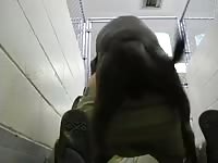 Pitbull cock Gaybeast.com - Zoophilia Man
