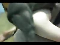 Pitts big knot in my hole Gaybeast.com - Man fucks animal