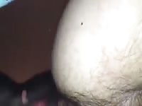 Pitty Gaybeast - Dude and animal Porn