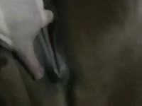 Play with mares part ii Gaybeast.com - Bestiality Porn video with man