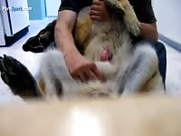 Playing with dog