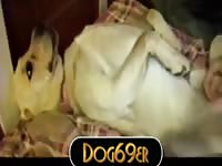 Pleasing the lab Gaybeast.com - Animal Porn Man