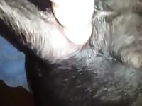 Plug and play Gaybeast.com - Beastiality Man