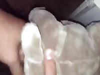 Plushie pug fuck Gaybeast.com - Zoophilia Man