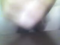 Plushy boy Gaybeast.com - Bestiality Sex video with man