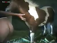 Pony fucks gay in asshole