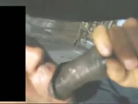Pony suck Gaybeast.com - Bestiality Sex video with man