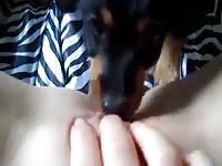 Puppy makes me cum Petsex.com - Man fucks animal