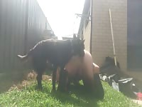 Puppy pumping around 2