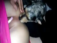 Puppy rims Gaybeast - Beastiality with Man