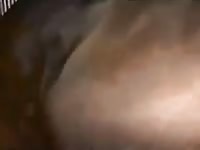 Pussi tickled the horse Gaybeast.com - Beastiality Man