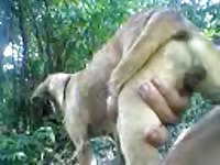 Pusy dog Gaybeast.com - Beastiality with Man
