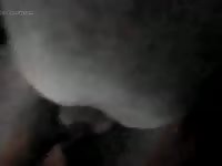 Quick mare fuck Gaybeast.com - Beastiality with Man