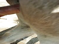 Real video_1080p