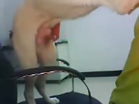 Realchinese women and dog Petsex.com - Beastiality with Dude