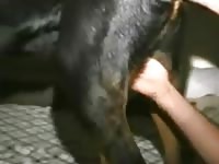 Rott butt fuck Gaybeast - Zoophilia Porn and Man