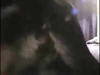 Rotty fucks boy Gaybeast.com - Animal Sex Man
